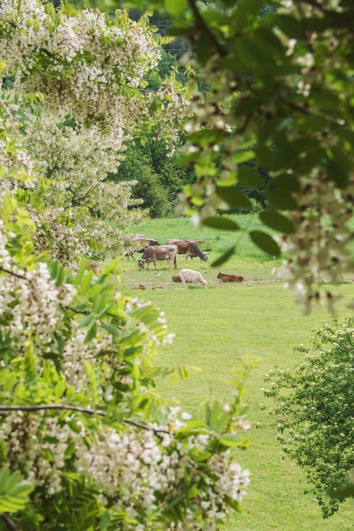 Image15